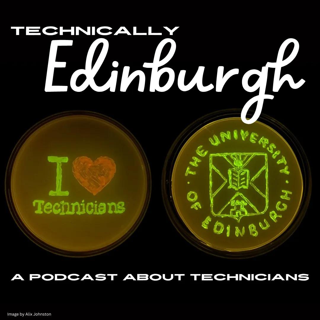 Episode Four podcast artwork