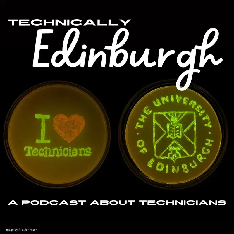 Episode Four podcast artwork