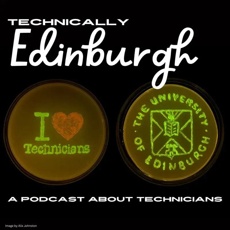 Podcast cover art