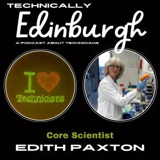 Episode Two podcast artwork