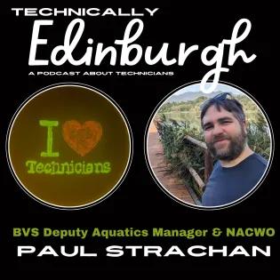 Episode Seven podcast artwork