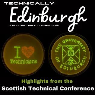 Episode Eleven podcast artwork